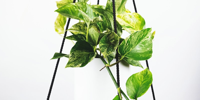 世界杯小组赛积分榜数据表格截图，显示各队排名与积分